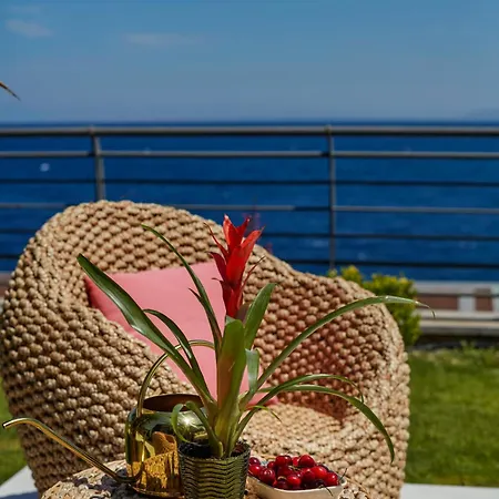 Root Redrock * 亚力卡瓦克