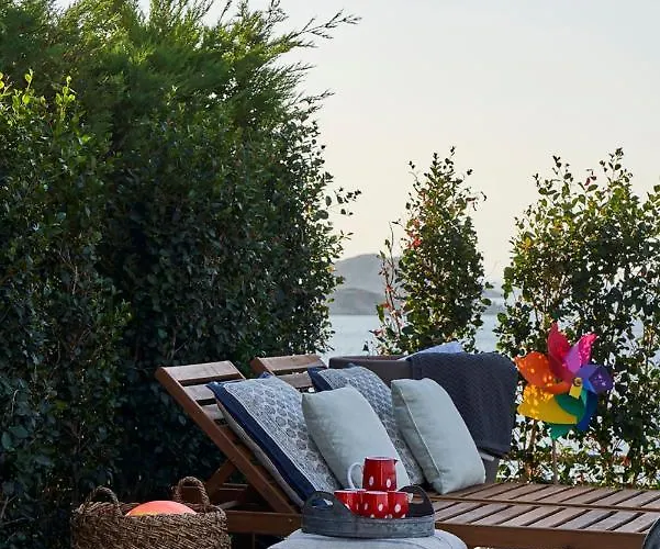 Root Redrock فيلة