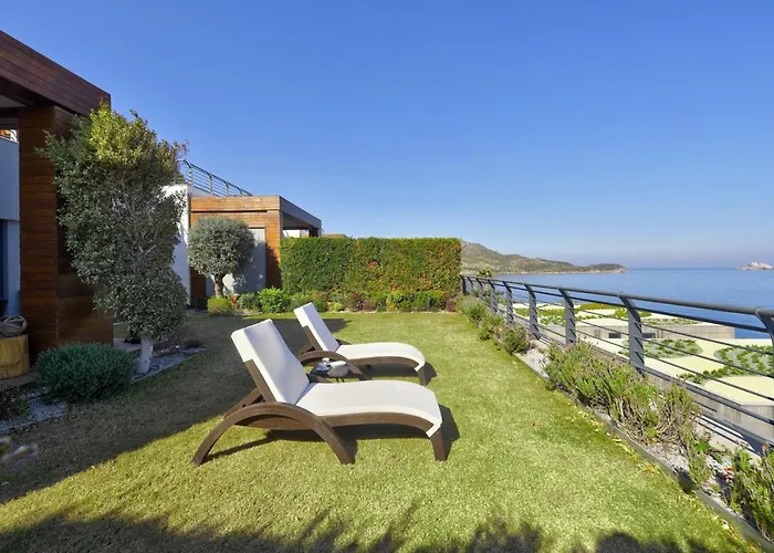 فيلة Root Redrock *