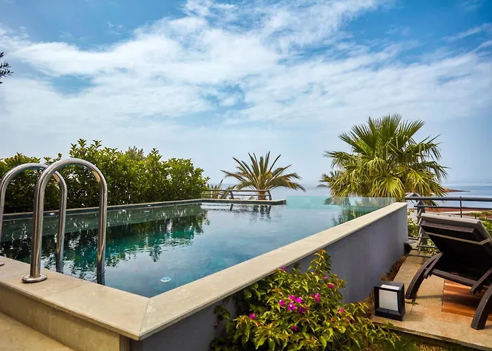 Root Redrock فيلة